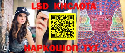индика Кунгур