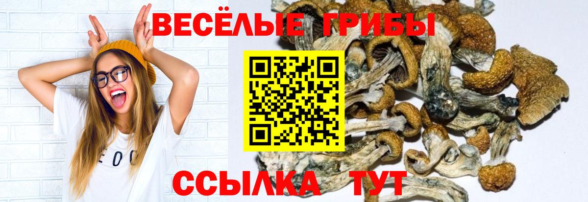 Галлюциногенные грибы прущие грибы Дедовск