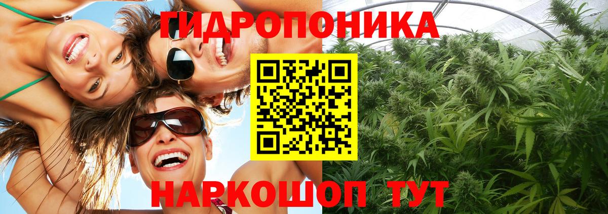 Бошки марихуана конопля  Вход с VPN  Дедовск  Шишки марихуана VHQ 